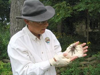 Jim Walser Presents Animal Stories